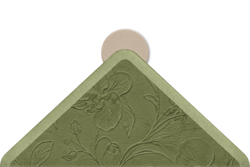 Flap atrás